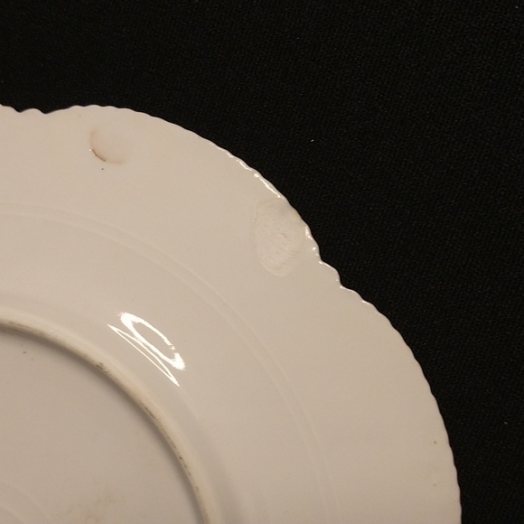 Old china plates Flora print - Picture 7 of 9